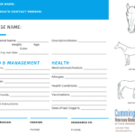 Travel Confidently – News Center At Cummings School Of Regarding Horse Stall Card Template