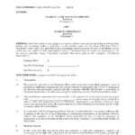 Usa Merchant Cash Advance Agreement Intended For Corporate Credit Card Agreement Template