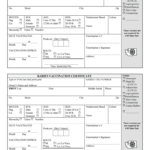 Vaccination Template – Fill Out And Sign Printable Pdf Template | Signnow For Certificate Of Vaccination Template