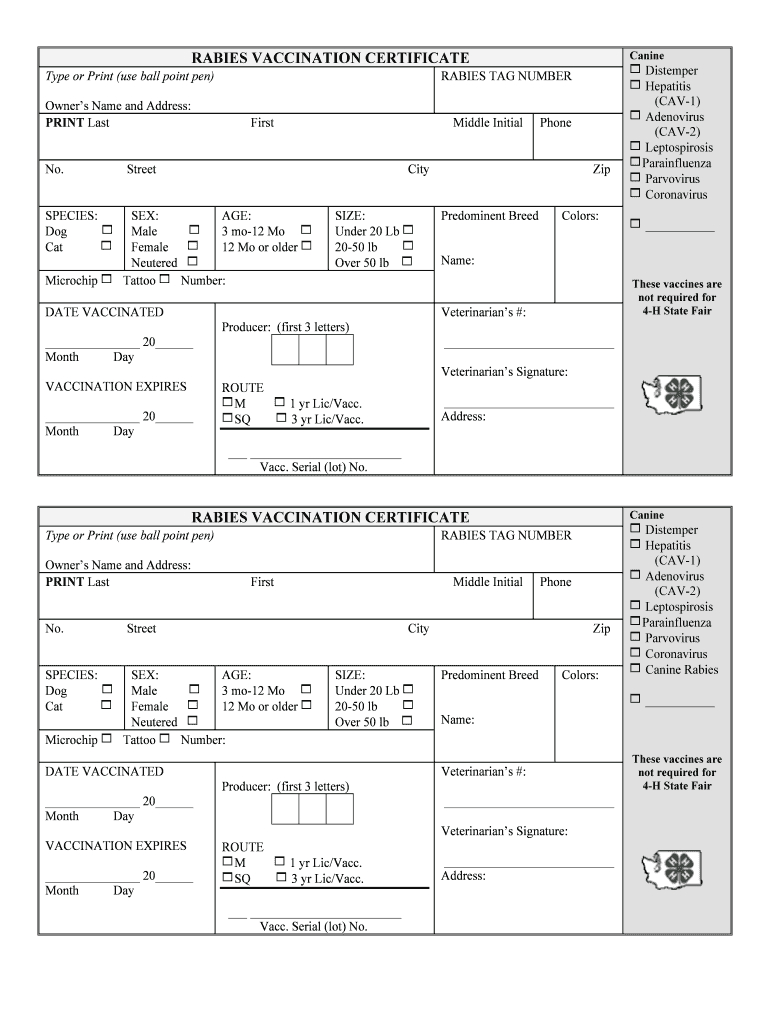 Vaccination Template – Fill Out And Sign Printable Pdf Template | Signnow For Certificate Of Vaccination Template