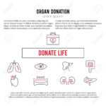 Vector Square Banner Template. Organ Donation Thin Line Icons With Organ Donor Card Template