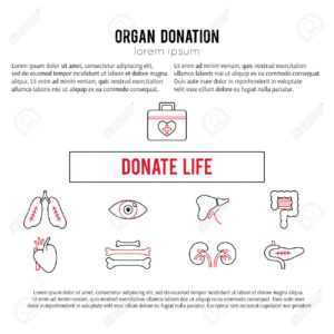 Vector Square Banner Template. Organ Donation Thin Line Icons with Organ Donor Card Template