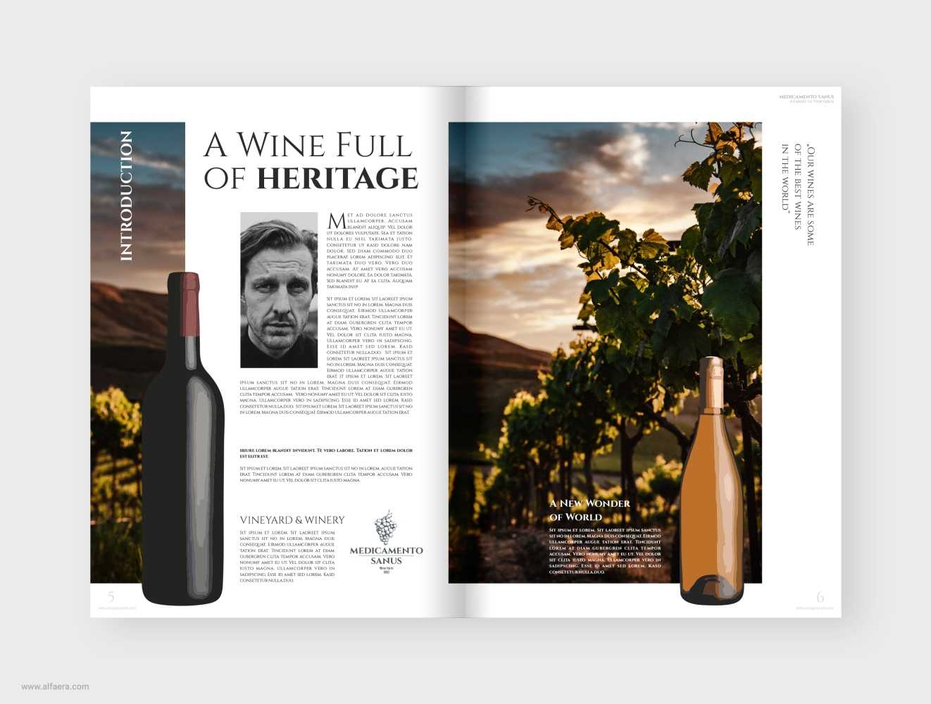 Wine Catalog Brochure Template Pertaining To Wine Brochure Template