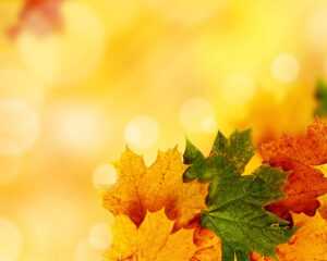 Yellow Autumn Background For Powerpoint - Nature Ppt Templates throughout Free Fall Powerpoint Templates