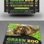 Zoo Flyer Graphics, Designs & Templates From Graphicriver With Regard To Zoo Brochure Template