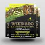 Zoo Flyer Template Pertaining To Zoo Brochure Template